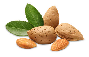 almond