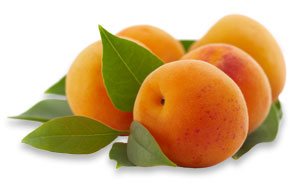 apricot