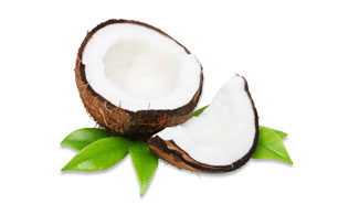 coconut