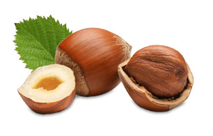 honeybush hazelnut