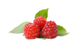 raspberry patch