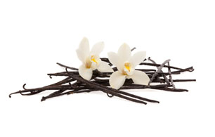 rooibos vanilla